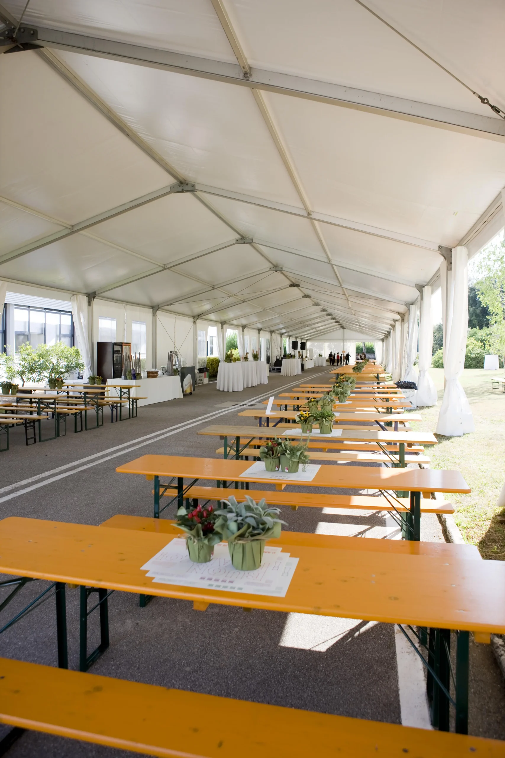 Una lunga tenda bianca con i lati aperti allestita per un evento. All'interno ci sono file di tavoli in legno con panche, ciascuna decorata con piccoli centrotavola di piante. La luce del sole filtra, illuminando la spaziosa disposizione.
