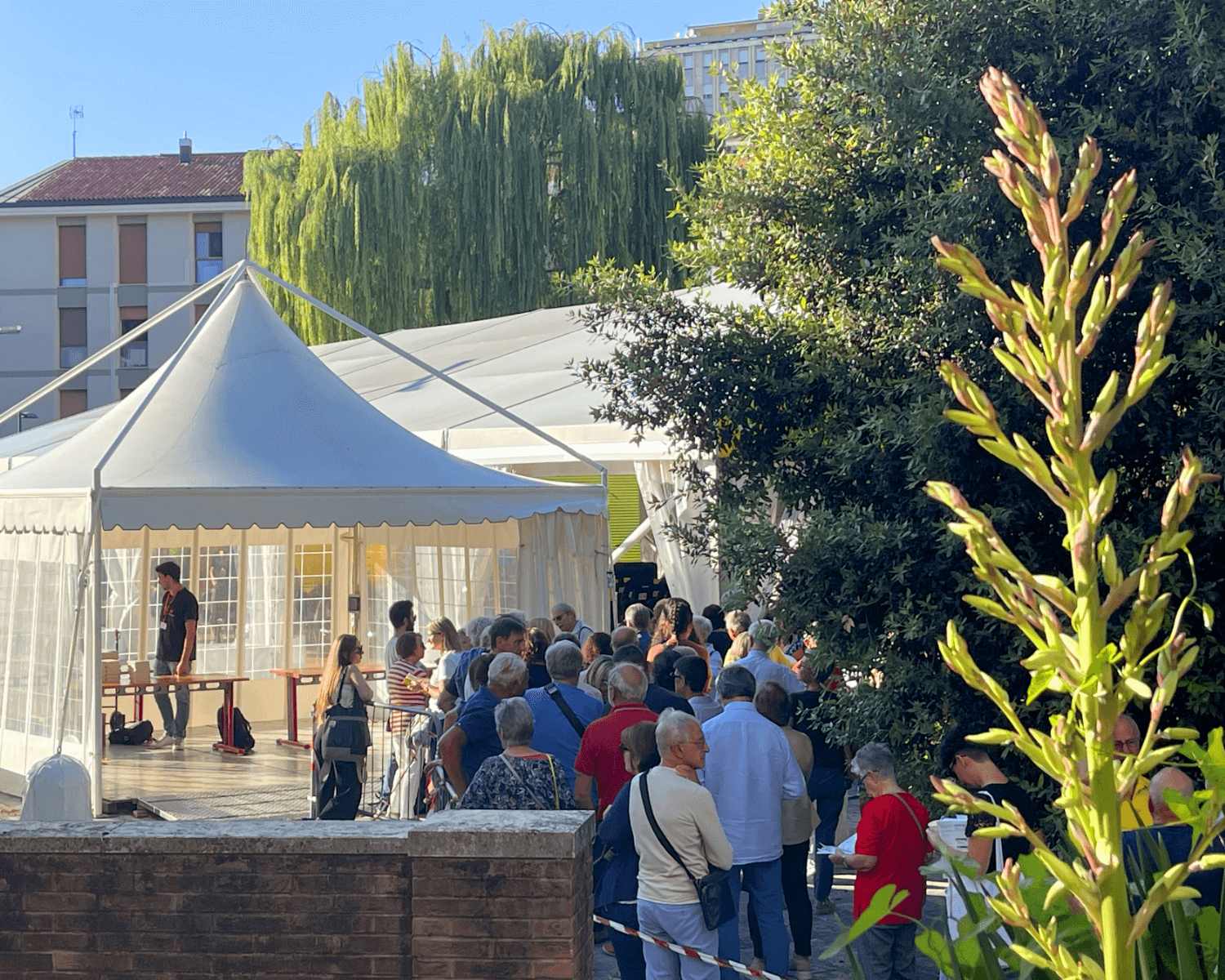 Una folla di persone attende in fila fuori da tende bianche in una giornata di sole, vicino ad alberi ed edifici; alcune persone parlano, mentre altre guardano verso le tende.